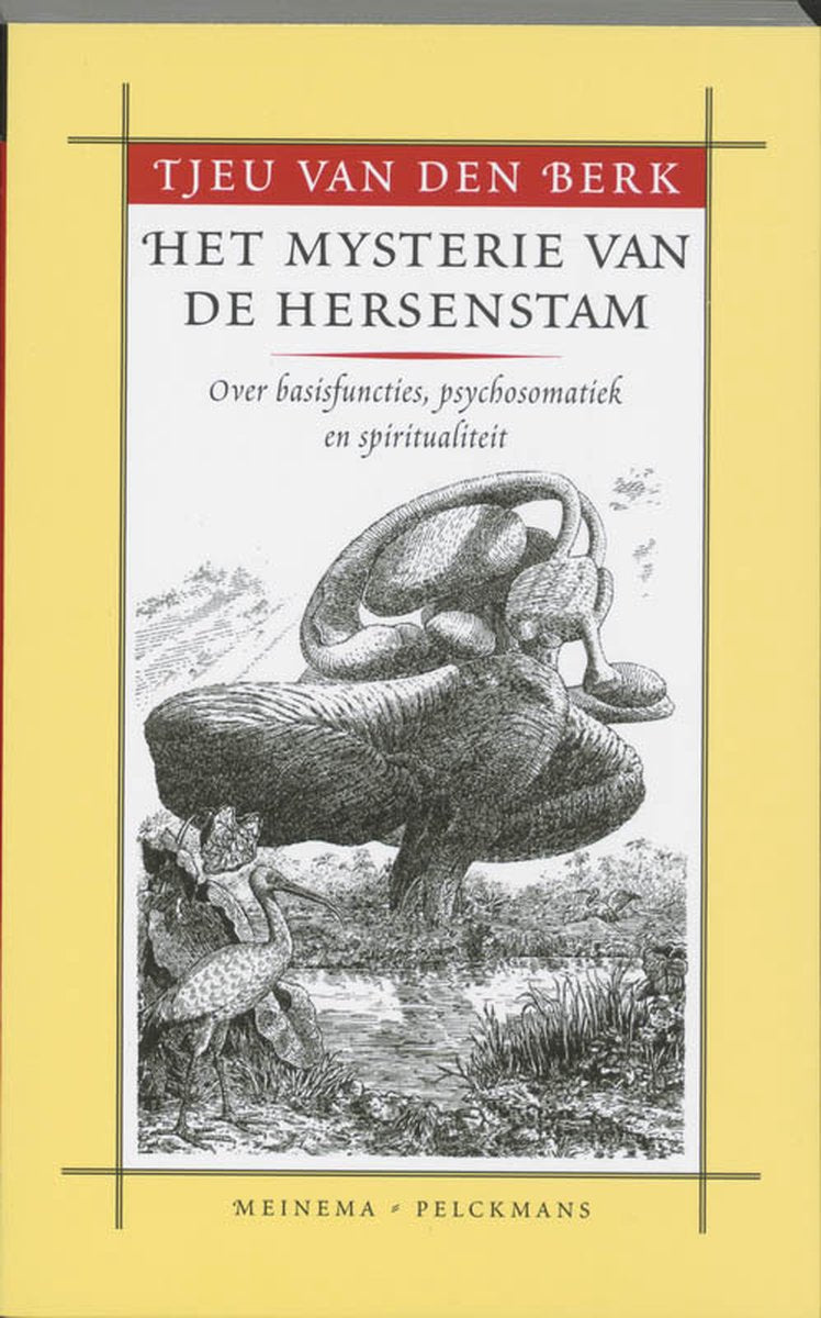 Omslag van Het mysterie van de hersenstam door t. van den Berk, tweedehands boek bij Boekhandel Bloks