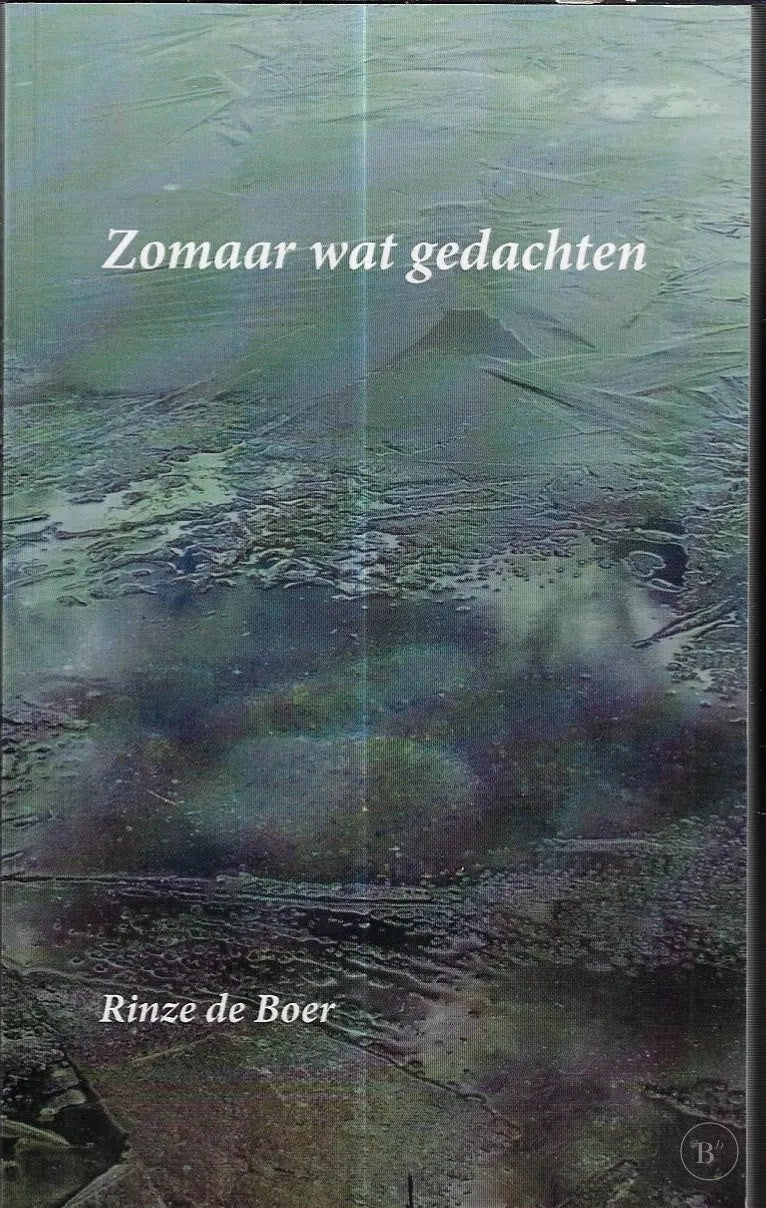 Omslag van Zomaar wat gedachten door BOER, Rinze de, tweedehands boek bij Boekhandel Bloks