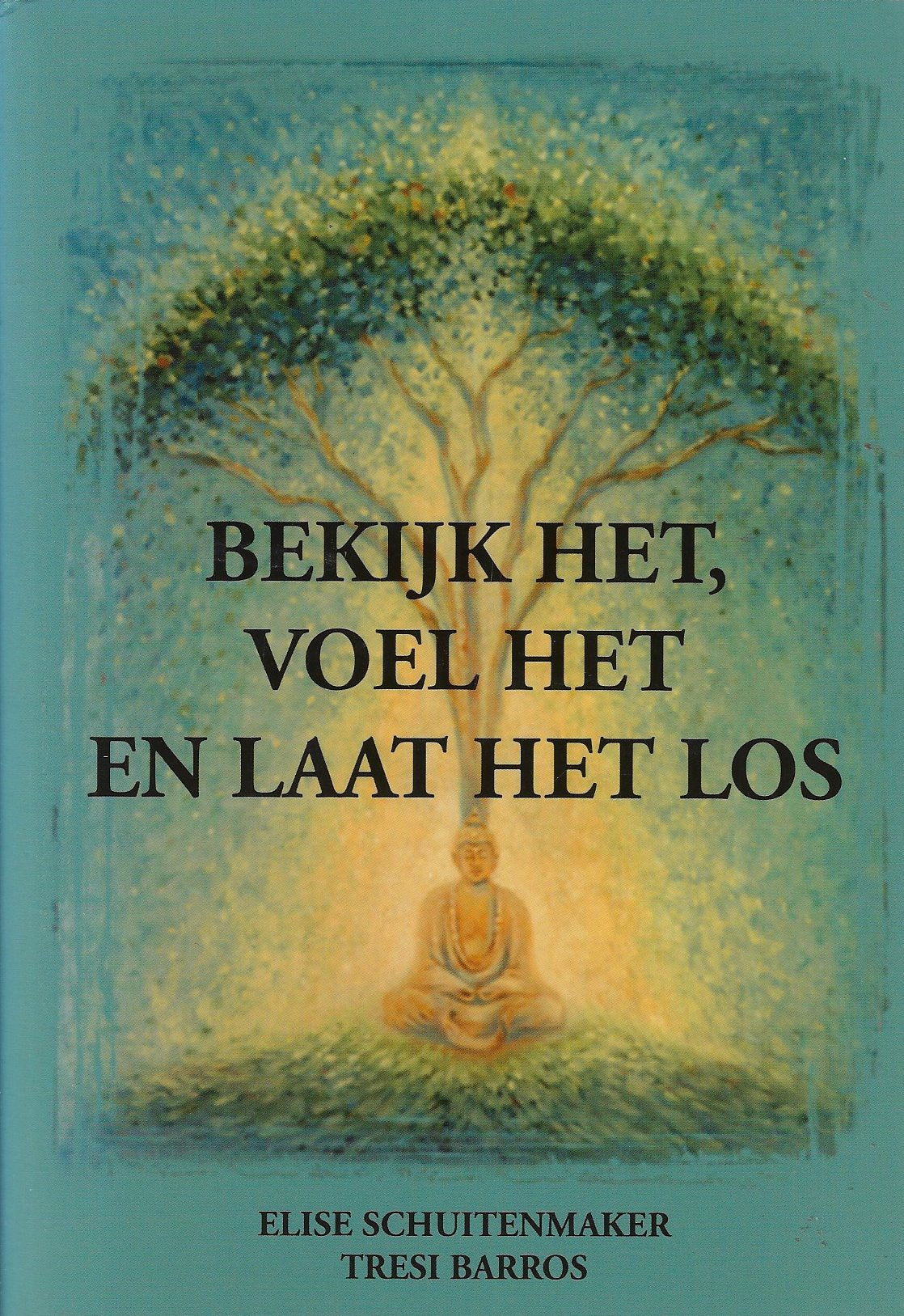 Bekijk het, voel het en laat het los