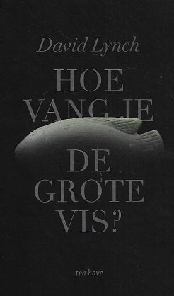 Hoe vang je de grote vis?