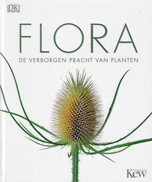 Flora