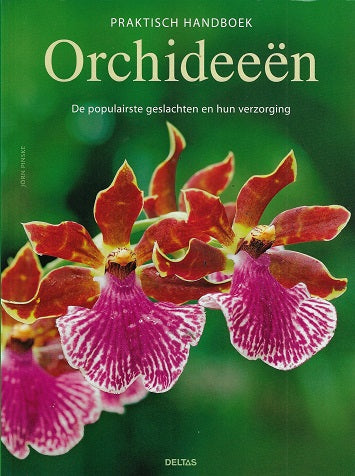 Orchideeen