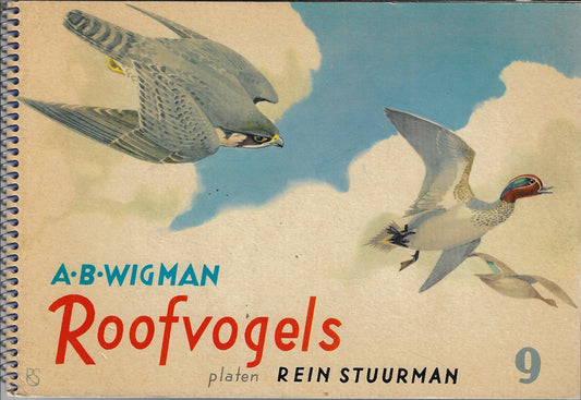 Roofvogels nr 9