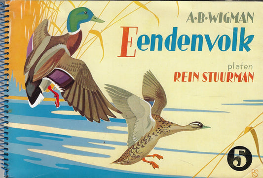 Eendenvolk nr 5