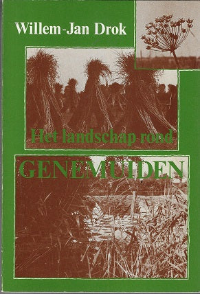 Het landschap rond Genemuiden