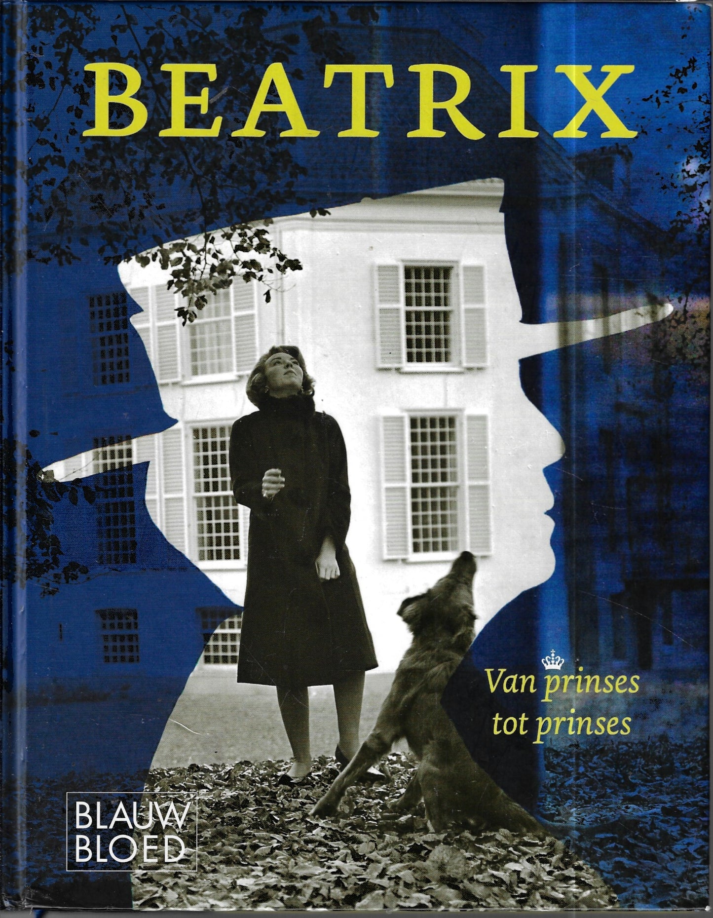 Beatrix: van prinses tot prinses