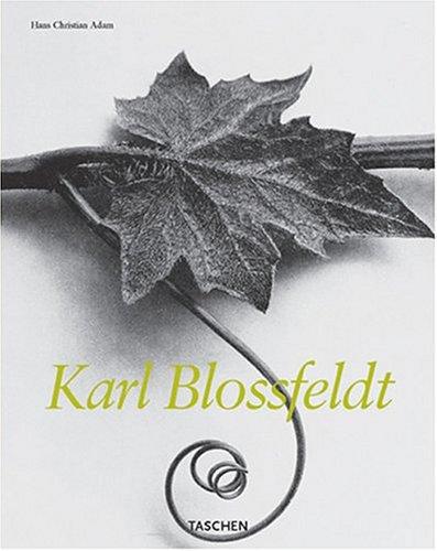 Karl Blossfeldt (Midsize)
