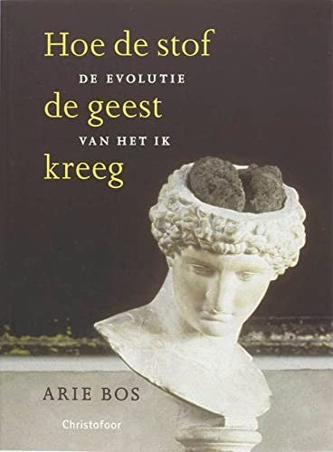 Omslag van Hoe de stof de geest kreeg door Auke Bos, tweedehands boek bij Boekhandel Bloks