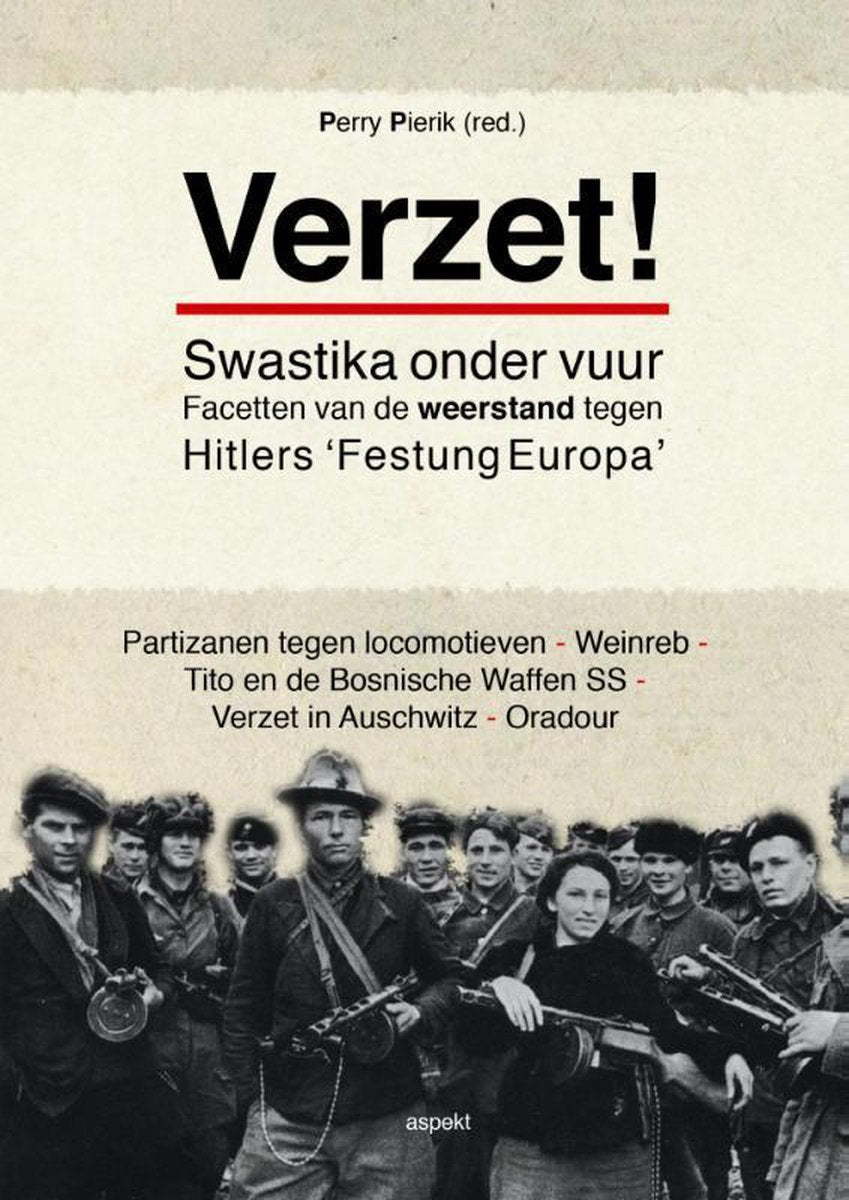 Verzet / swastika onder vuur