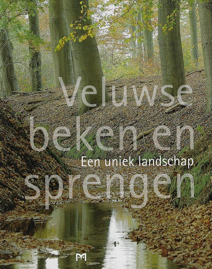 Veluwse beken en sprengen