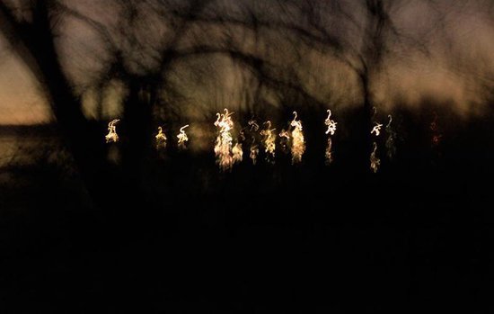 Beings / the wild phenomena of now photography 2009-2014