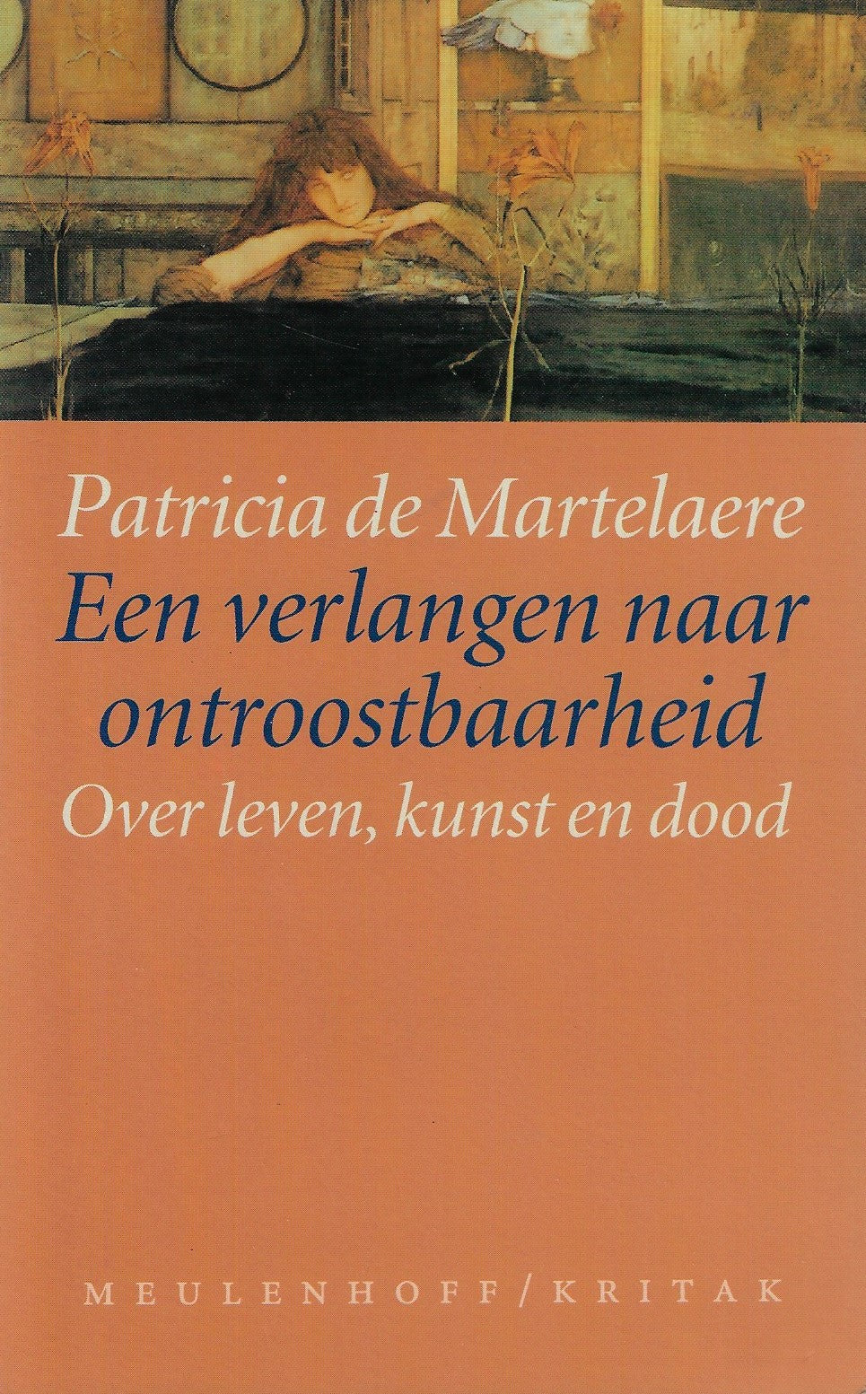 Een verlangen naar ontroostbaarheid / over leven, kunst en dood