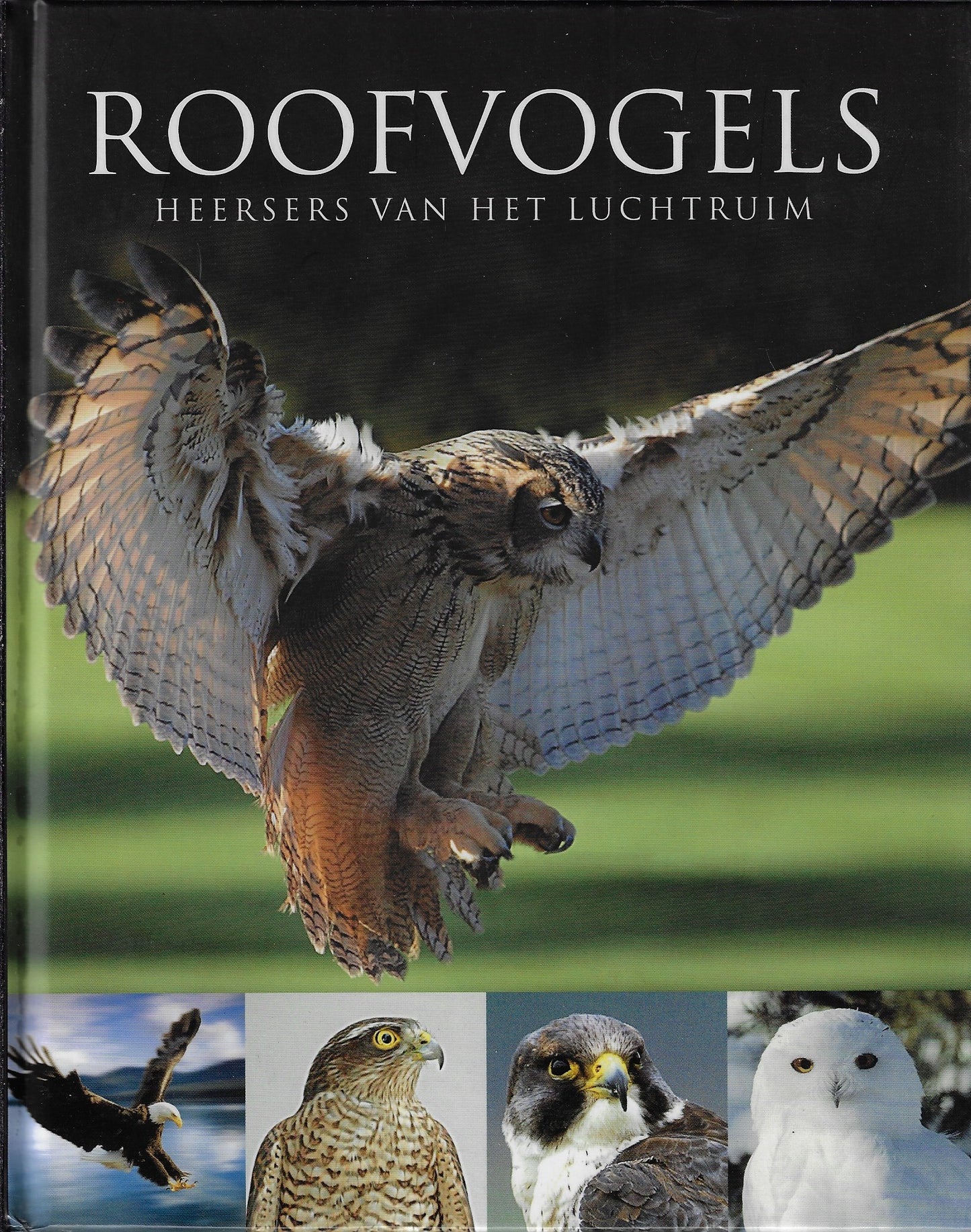 Roofvogels, heersers van het luchtruim
