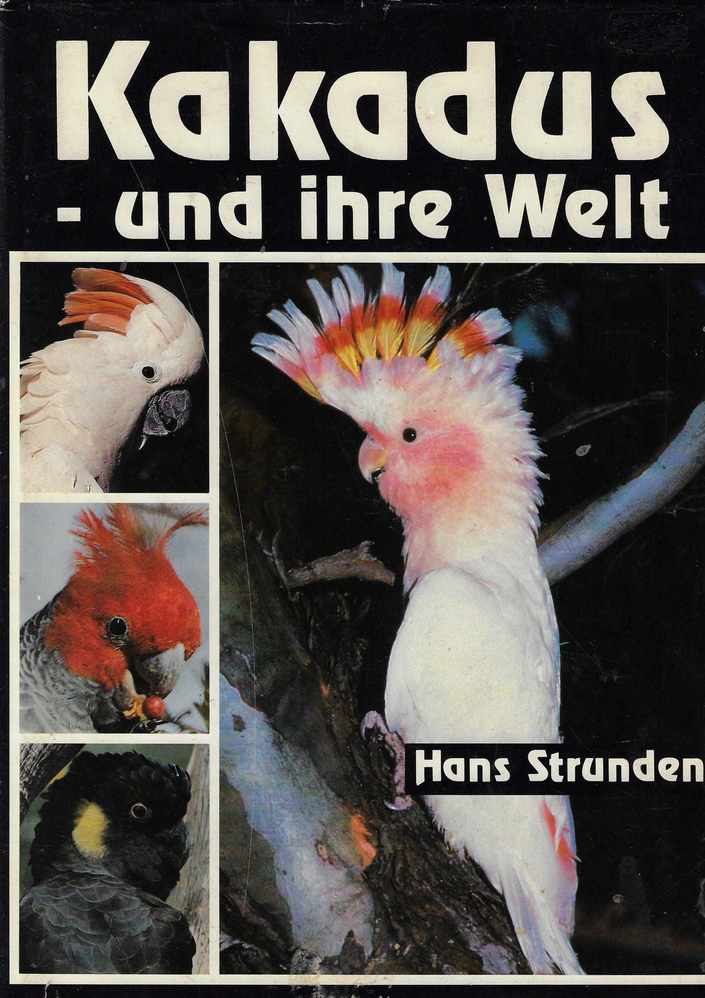 Kakadus und ihre Welt