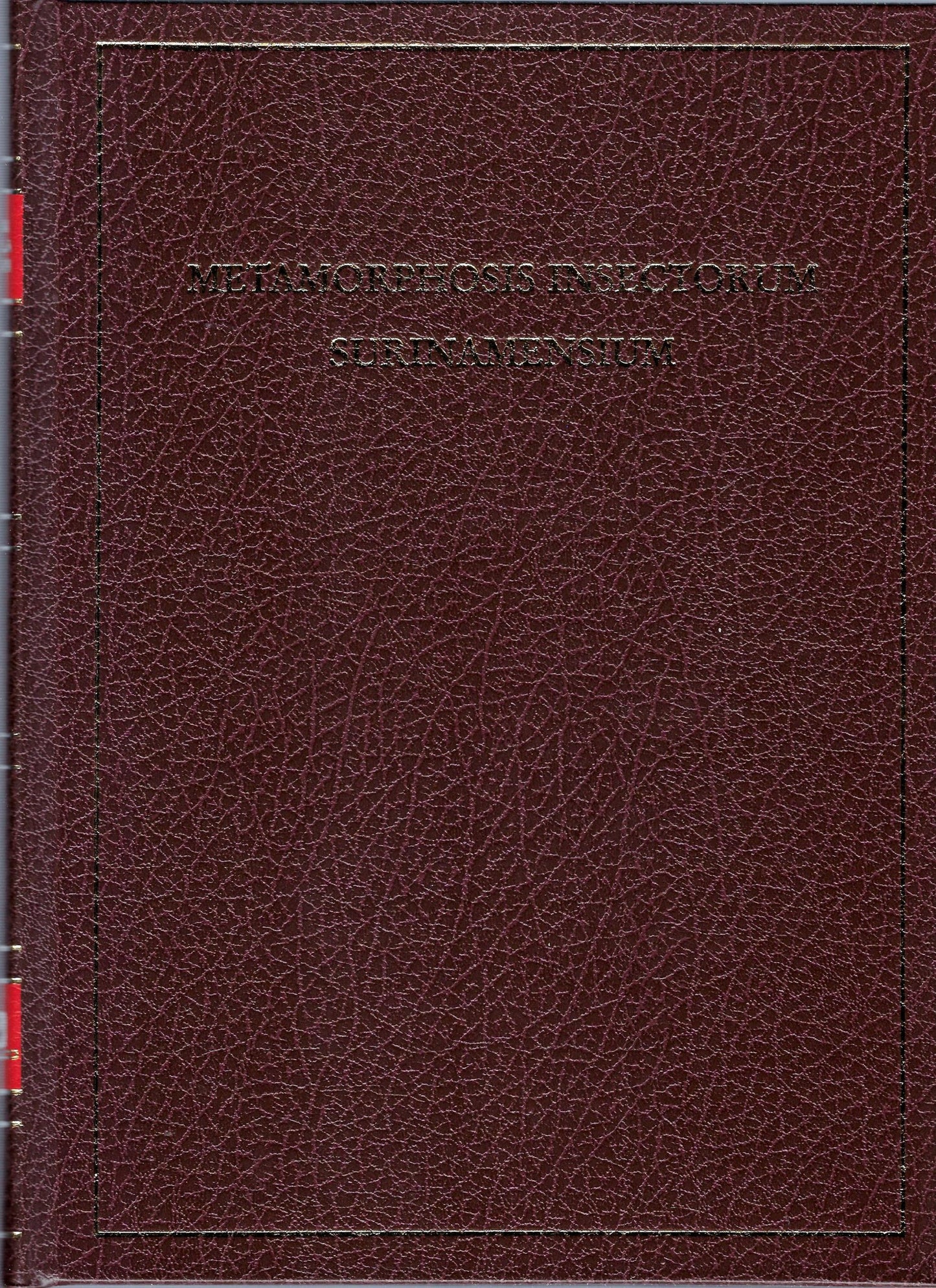 Metamorphosis insectorum Surinamensium