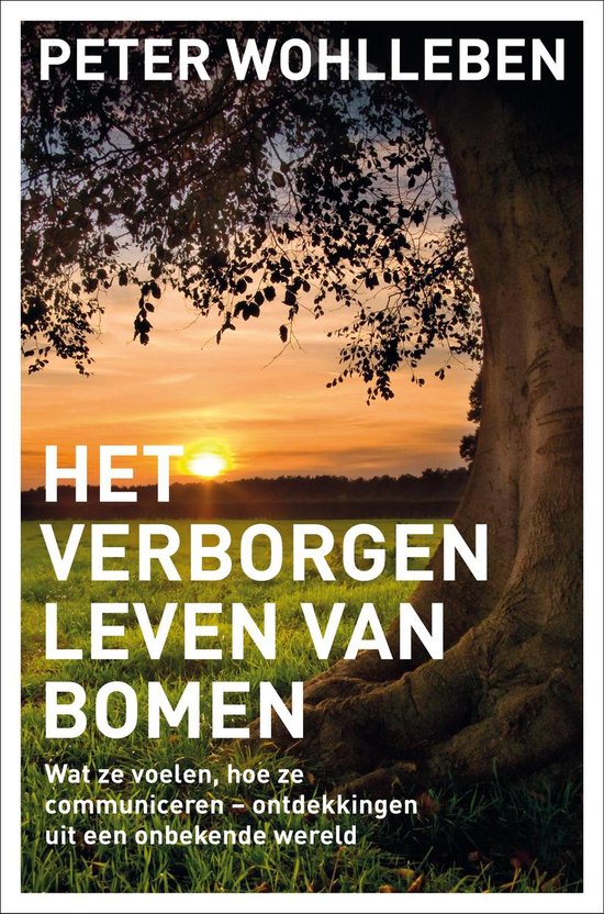 Het verborgen leven van bomen / wat ze voelen, hoe ze communiceren - ontdekkingen uit een onbekende wereld