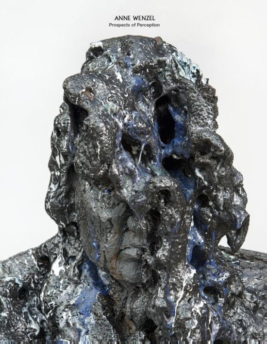 Anne Wenzel / prospects of perception