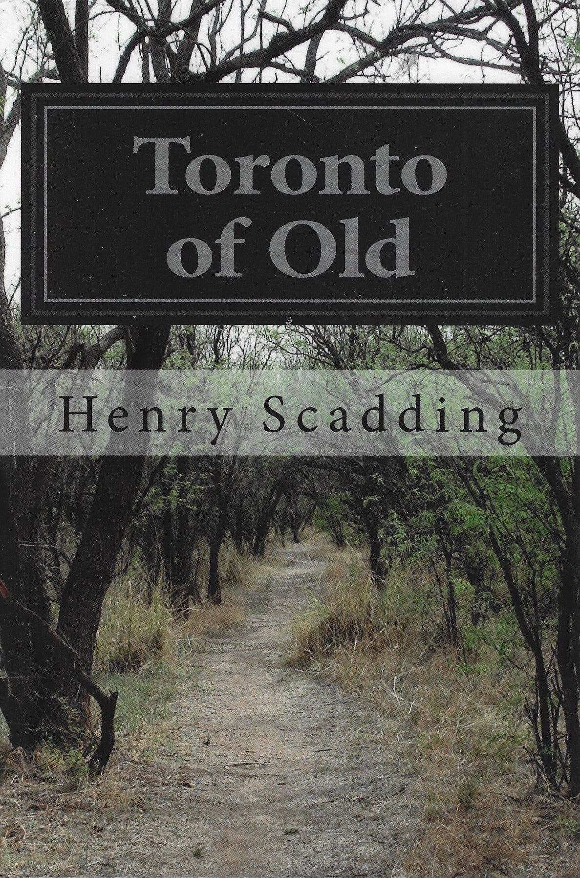 Toronto of Old