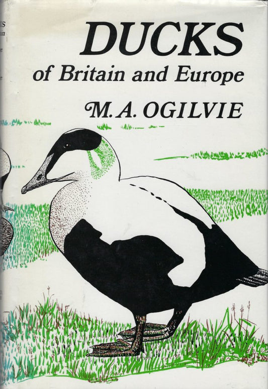 Ducks of Britain and Europe