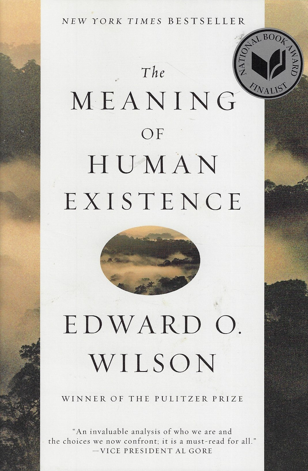 The Meaning of Human Existence