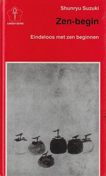 New age Zen-begin / eindeloos met Zen beginnen ongedwongen gesprekken over Zen-meditatie en praktijk