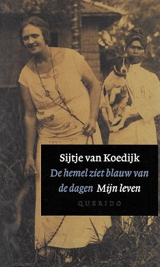 De hemel ziet blauw van de dagen