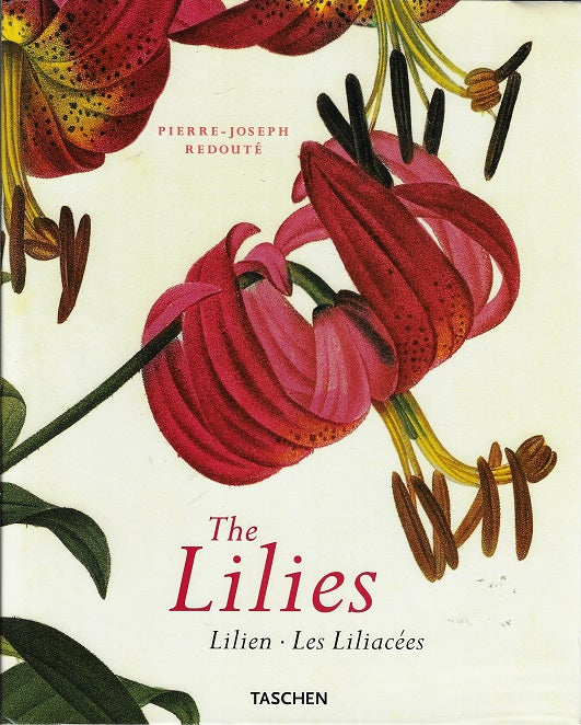 The Lilies