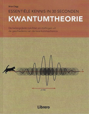 Kwantumtheorie
