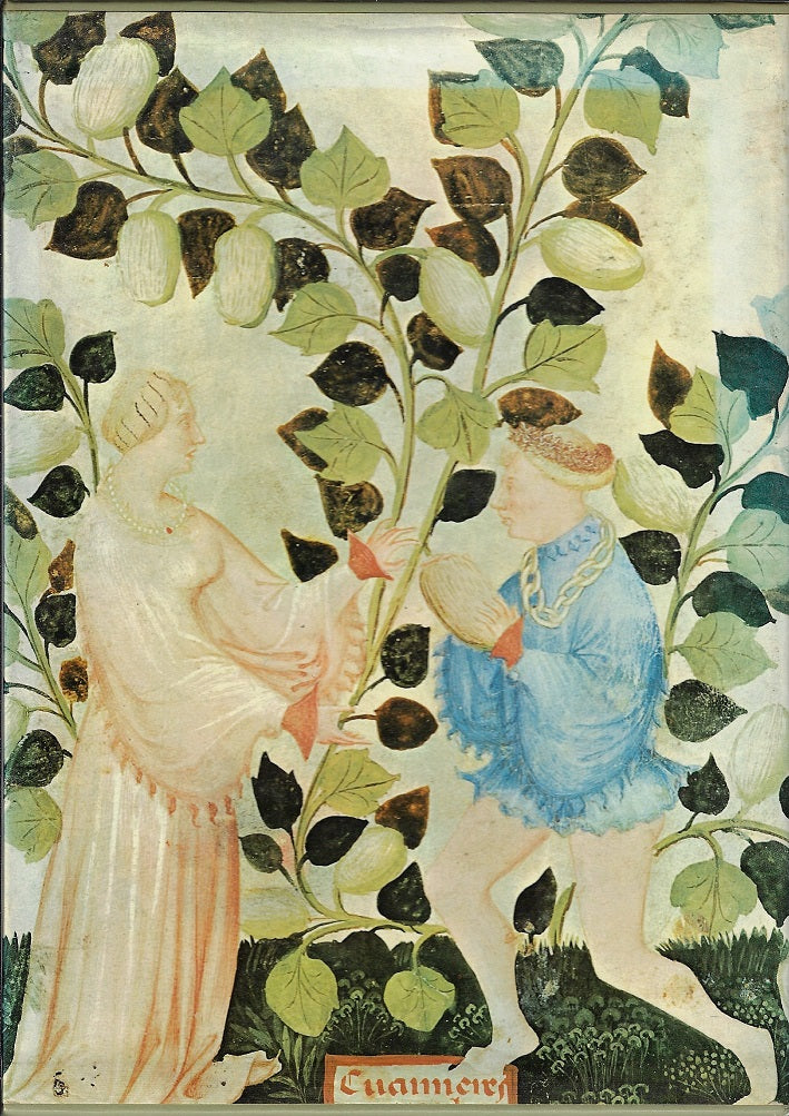 Tacuinum Sanitatis - Middeleeuwse gezondheidsleer