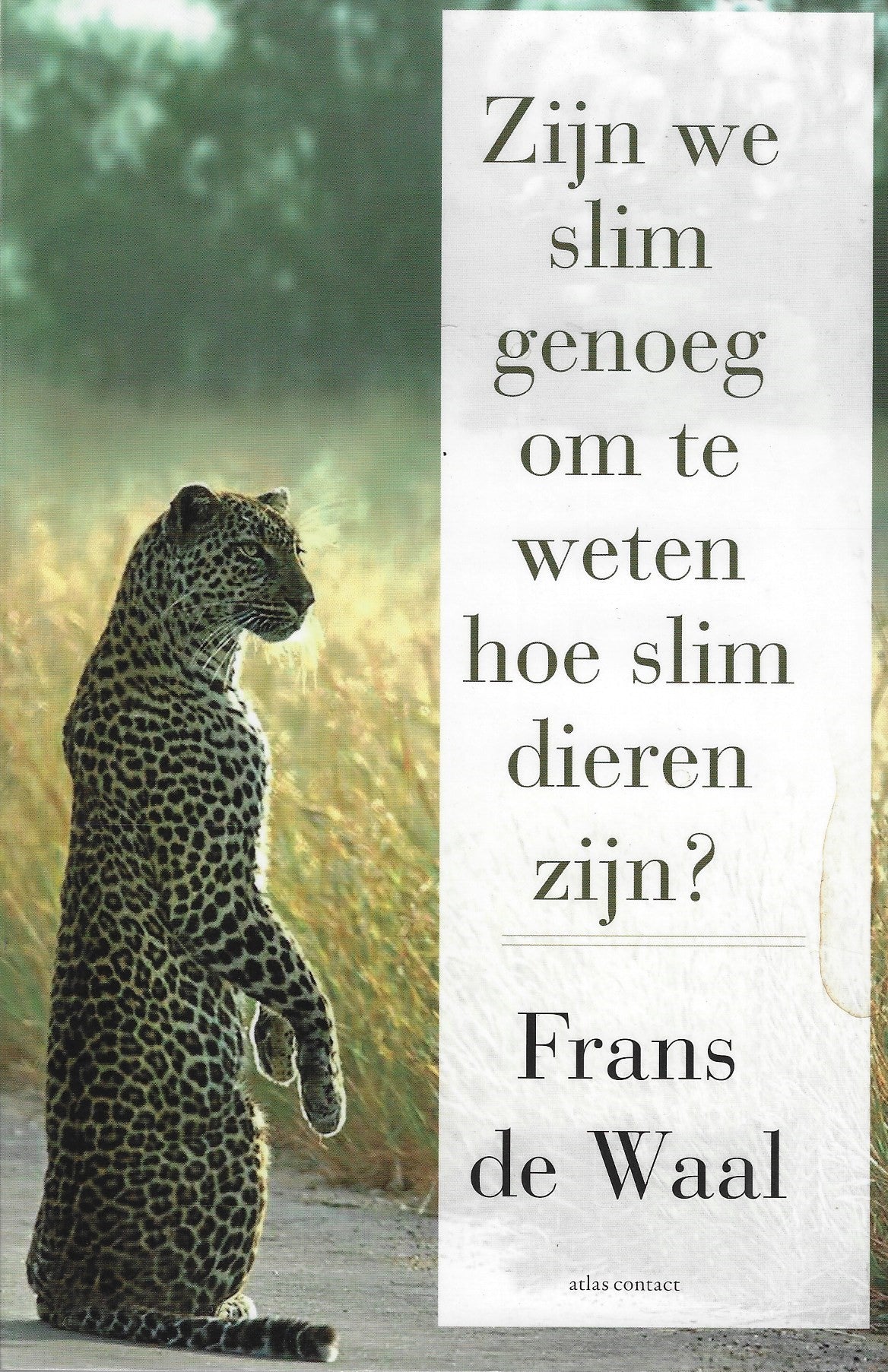Zijn we slim genoeg om te weten hoe slim dieren zijn