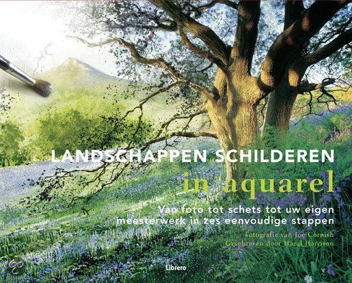 Omslag van Landschappen Schilderen In Aquarel door Hazel Harrison, tweedehands boek bij Boekhandel Bloks