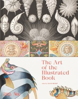 Omslag van Art of the Illustrated Book door Boeken over boeken, tweedehands boek bij Boekhandel Bloks