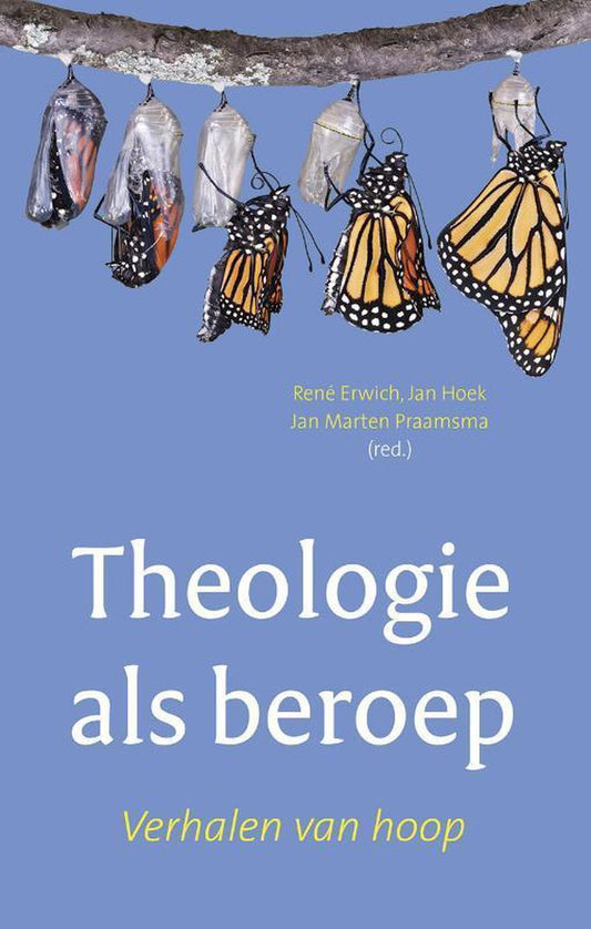 Omslag van Theologie als beroep door Rene Erwich, tweedehands boek bij Boekhandel Bloks