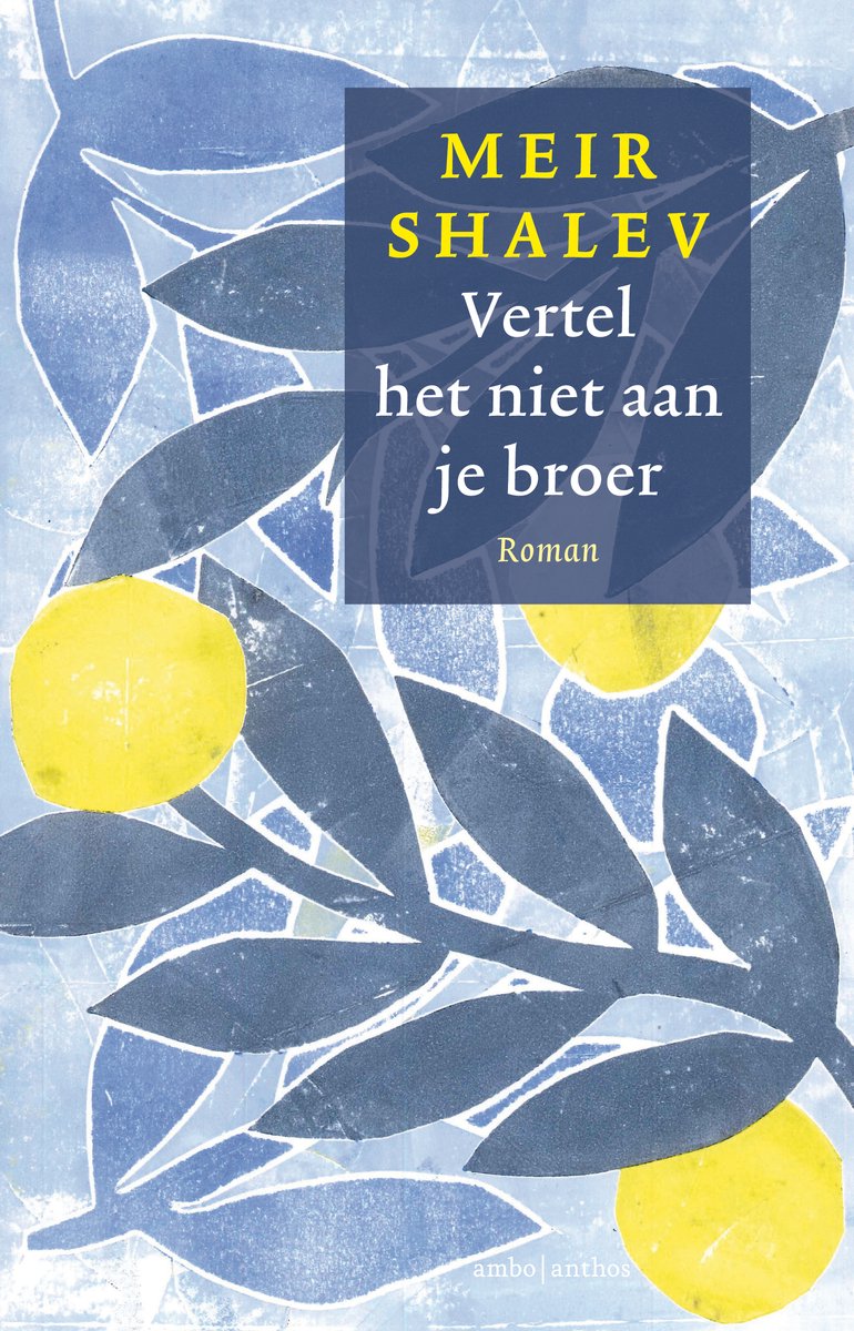 Omslag van Vertel het niet aan je broer door Meir Shalev, tweedehands boek bij Boekhandel Bloks