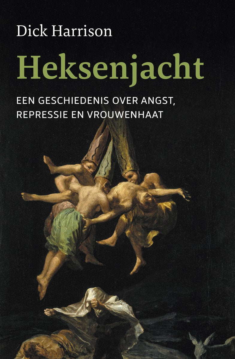 Omslag van Heksenjacht door Dick Harrison, tweedehands boek bij Boekhandel Bloks