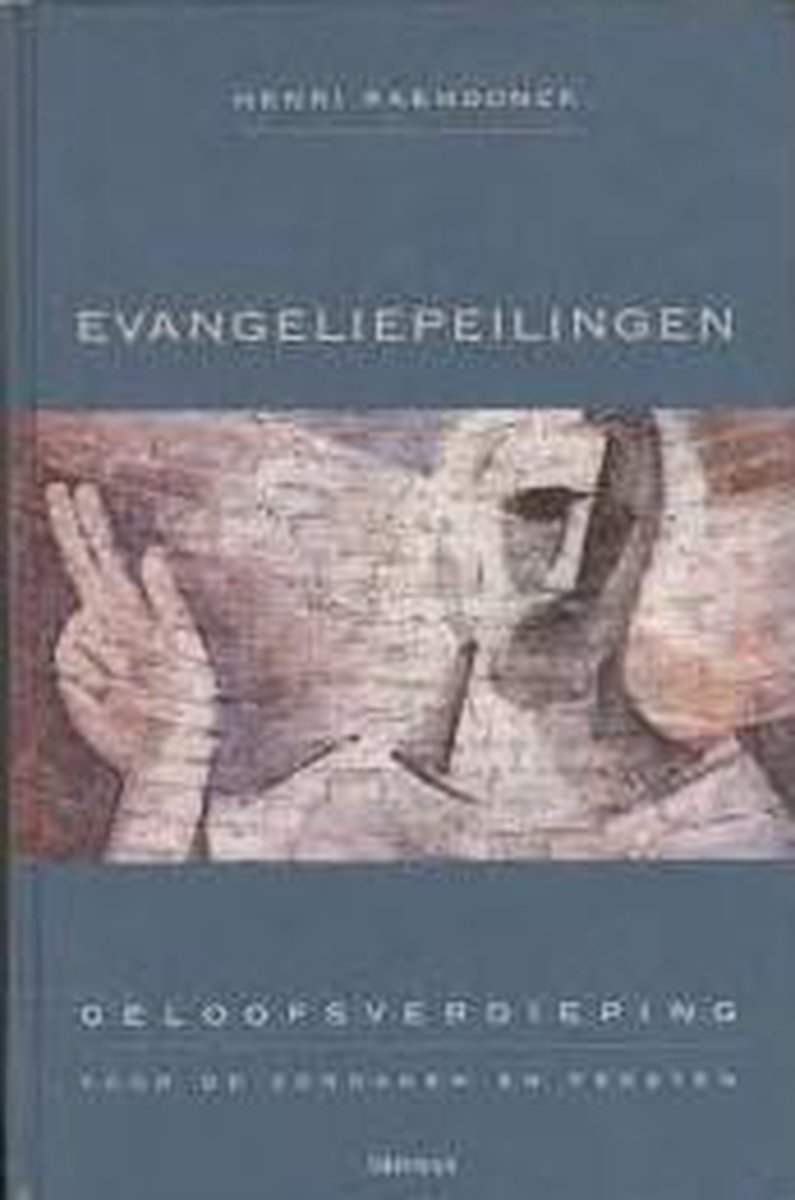 Omslag van Evangeliepeilingen door Raemdonck Henri, tweedehands boek bij Boekhandel Bloks