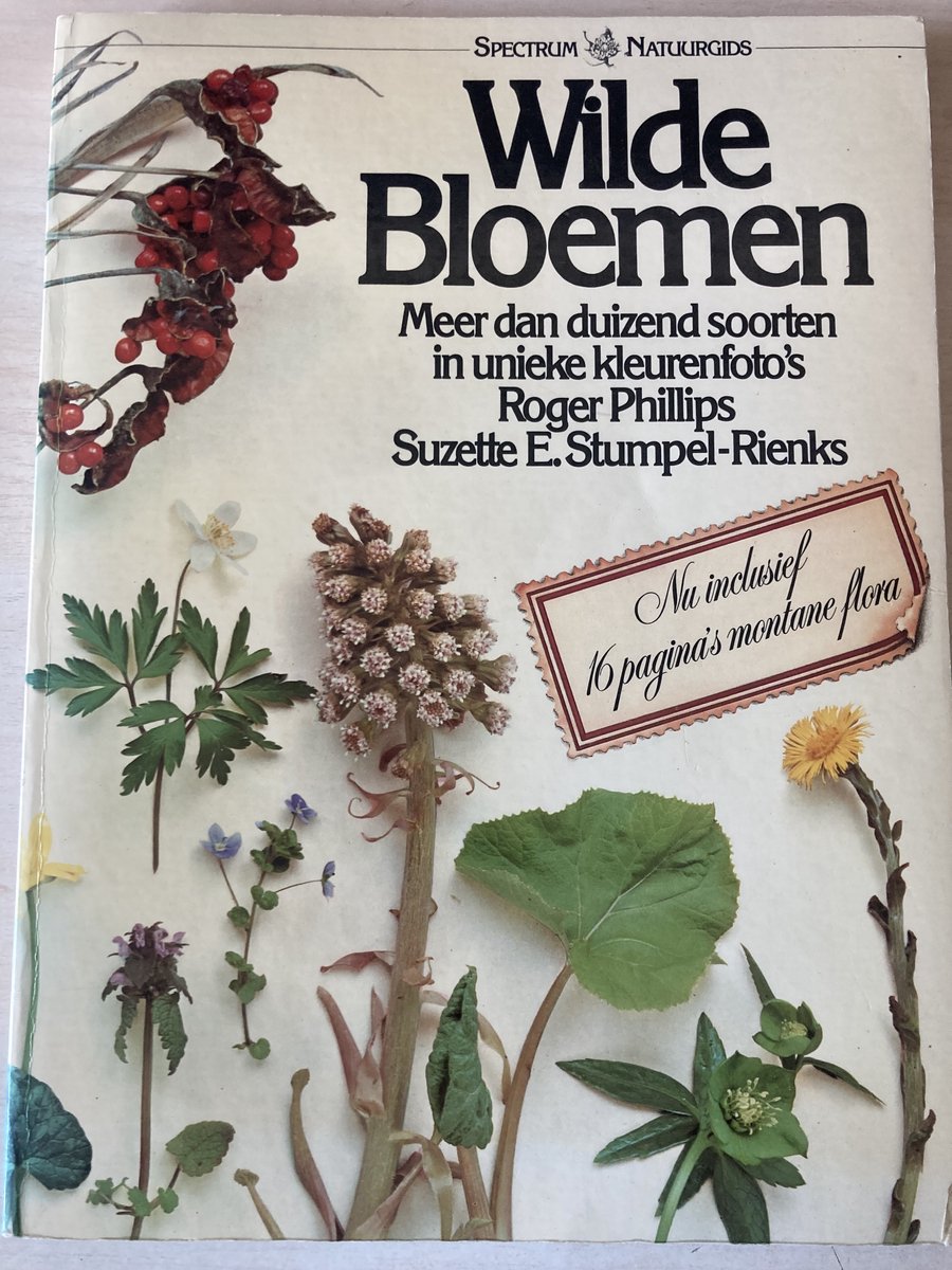 Omslag van Wilde bloemen door R. Phillips, tweedehands boek bij Boekhandel Bloks