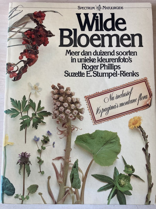 Omslag van Wilde bloemen door R. Phillips, tweedehands boek bij Boekhandel Bloks