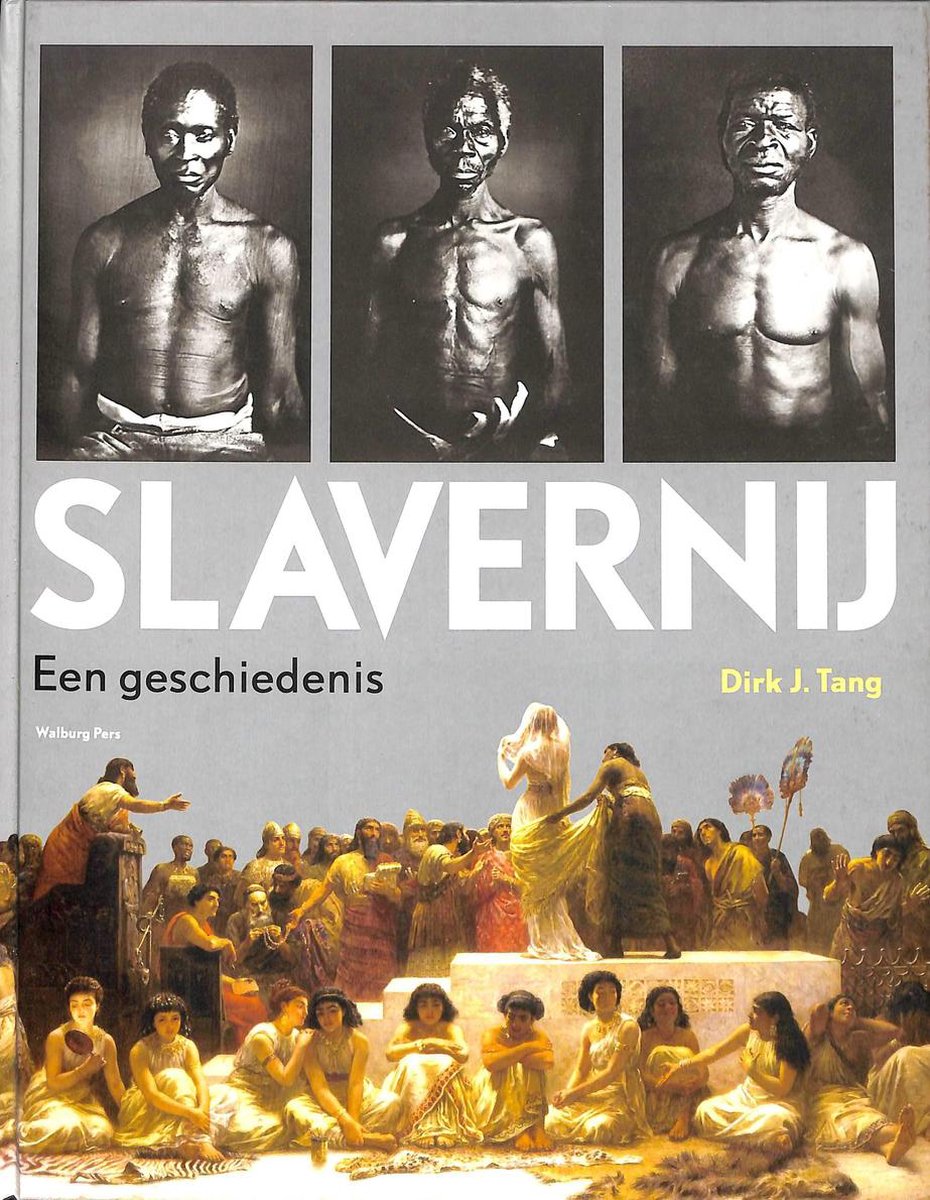 Omslag van Slavernij door Dirk J. Tang, tweedehands boek bij Boekhandel Bloks