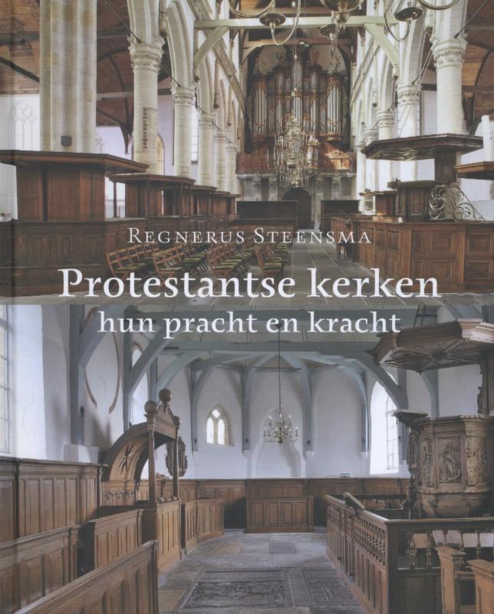 Omslag van Protestantse kerken door Regnerus Steensma, tweedehands boek bij Boekhandel Bloks
