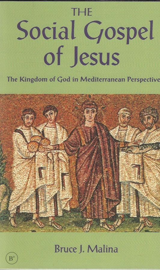 Omslag van The social gospel of Jesus door Bruce J. Malina, tweedehands boek bij Boekhandel Bloks