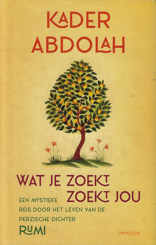 Wat je zoekt, zoekt jou / Een mystieke reis door het leven van de Perzische dichter Rumi