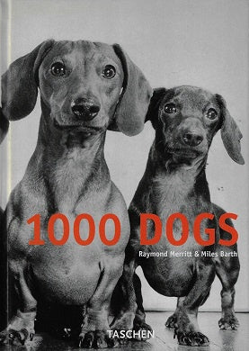 1000 Dogs