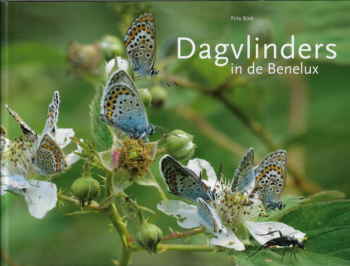 Dagvlinders in de Benelux