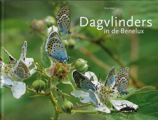 Dagvlinders in de Benelux