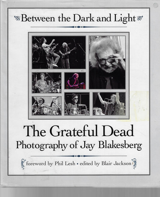 Between the Dark and Light