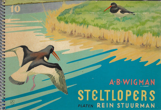 Steltlopers nr 10