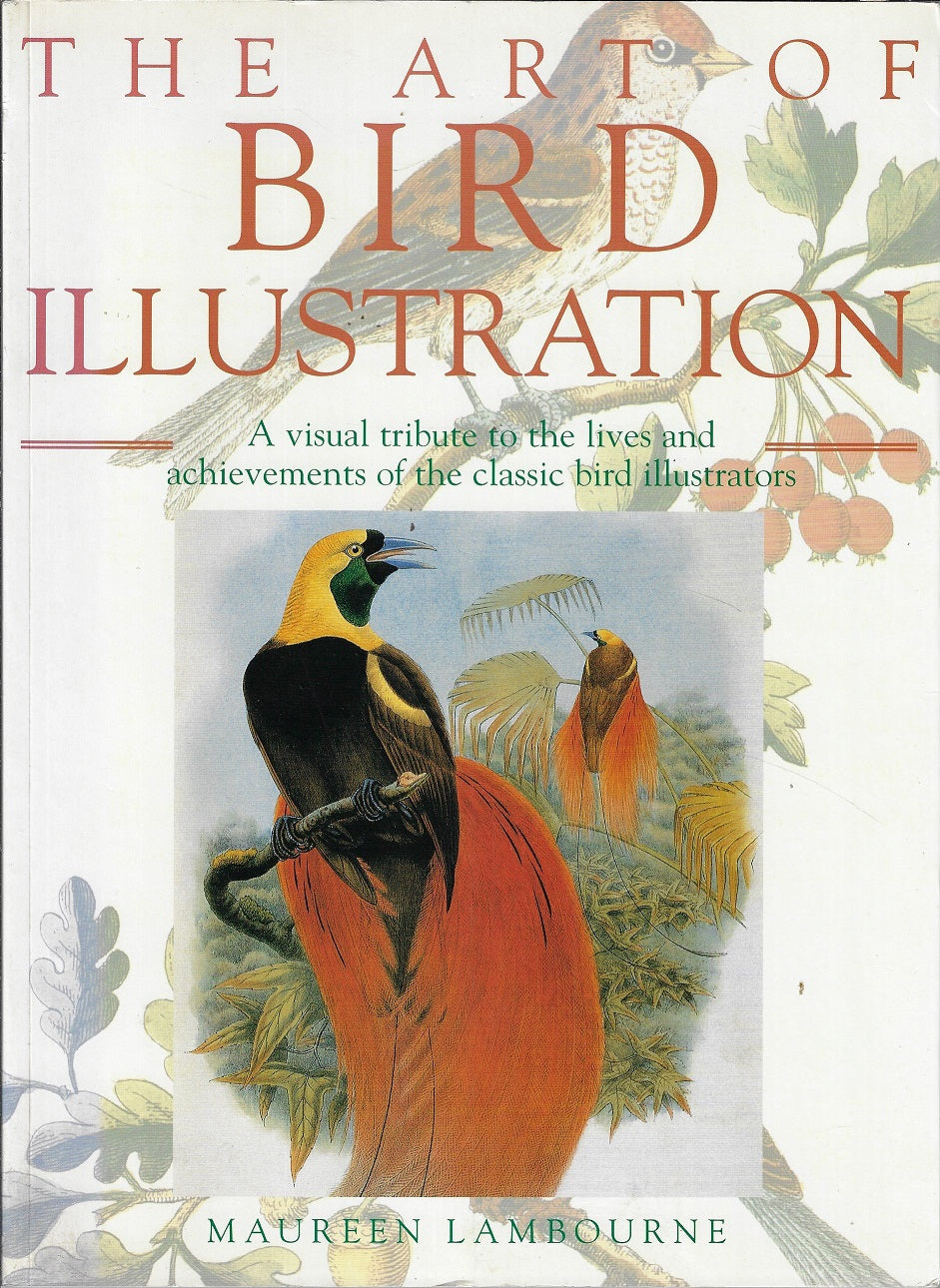 The art of bird illustration