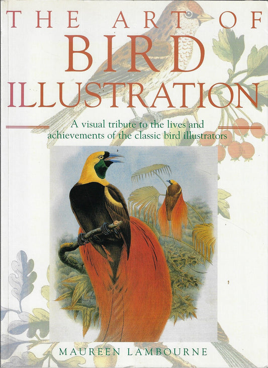 The art of bird illustration