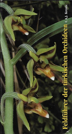 Feldführer der türkischen Orchideen